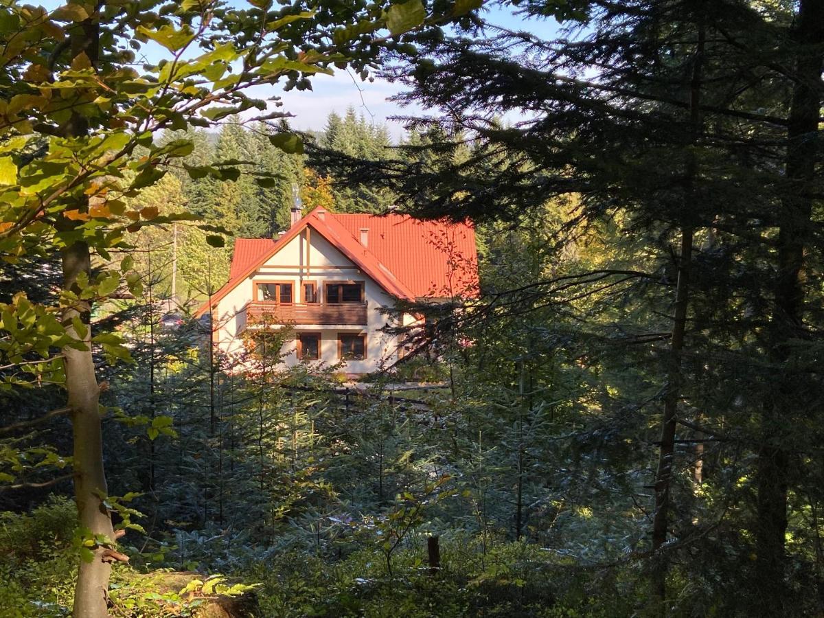 Agroturystyka Sarni Stok Villa Krynica Zdroj Buitenkant foto